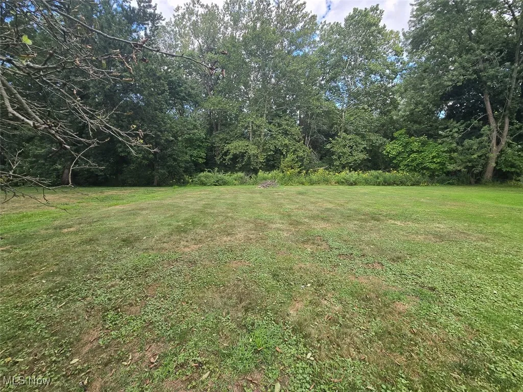 View of grassy yard