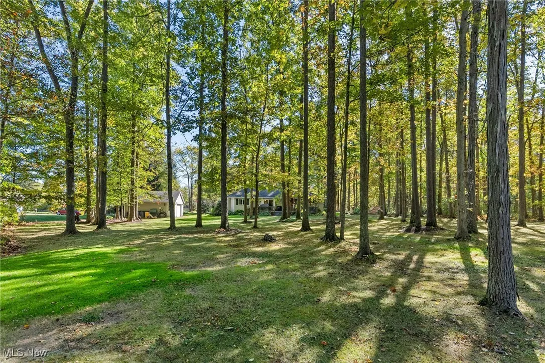 View of grassy yard