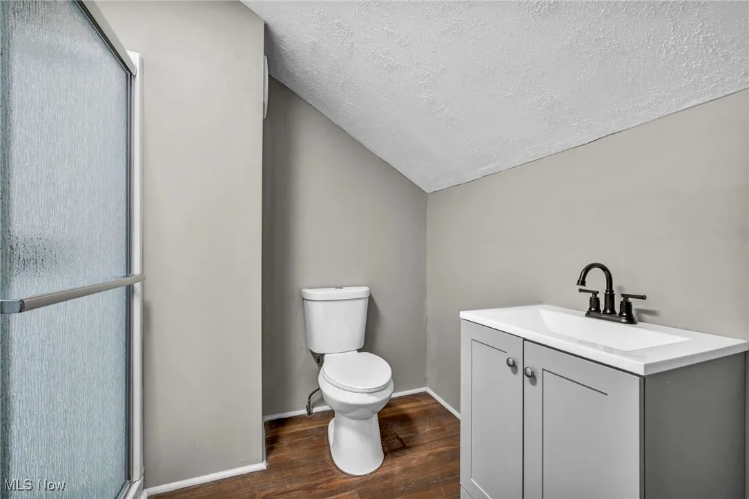 Bathroom featuring vanity, vaulted ceiling, a textured ceiling, a shower stall, and dark wood-type flooring