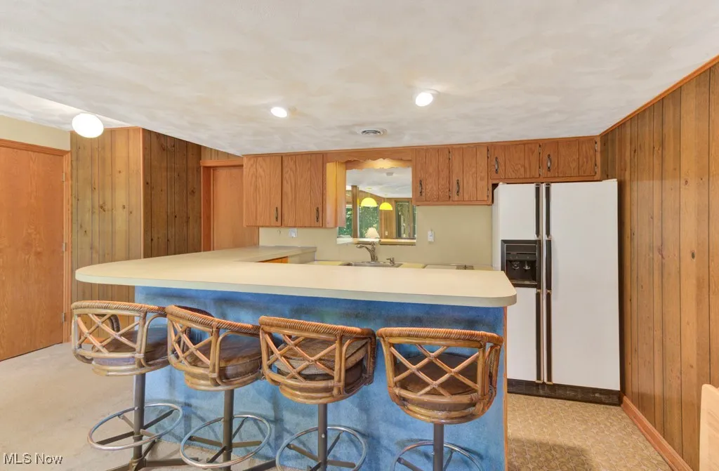 Lower level kitchen