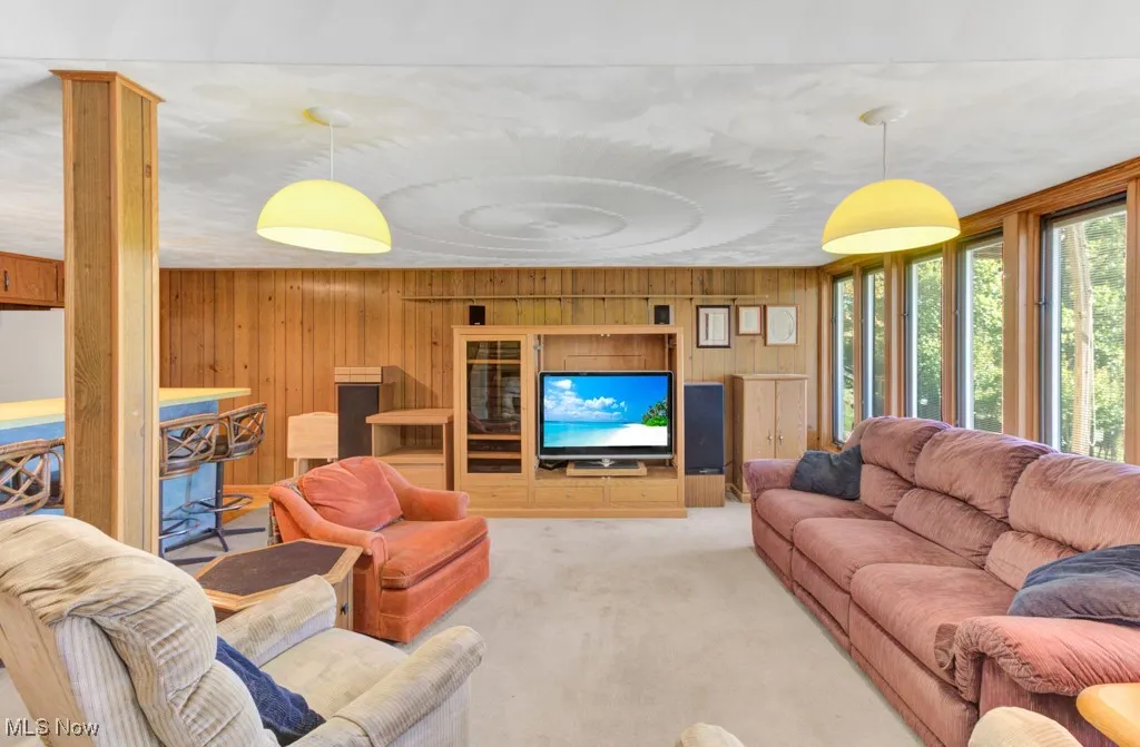 Lower level living space