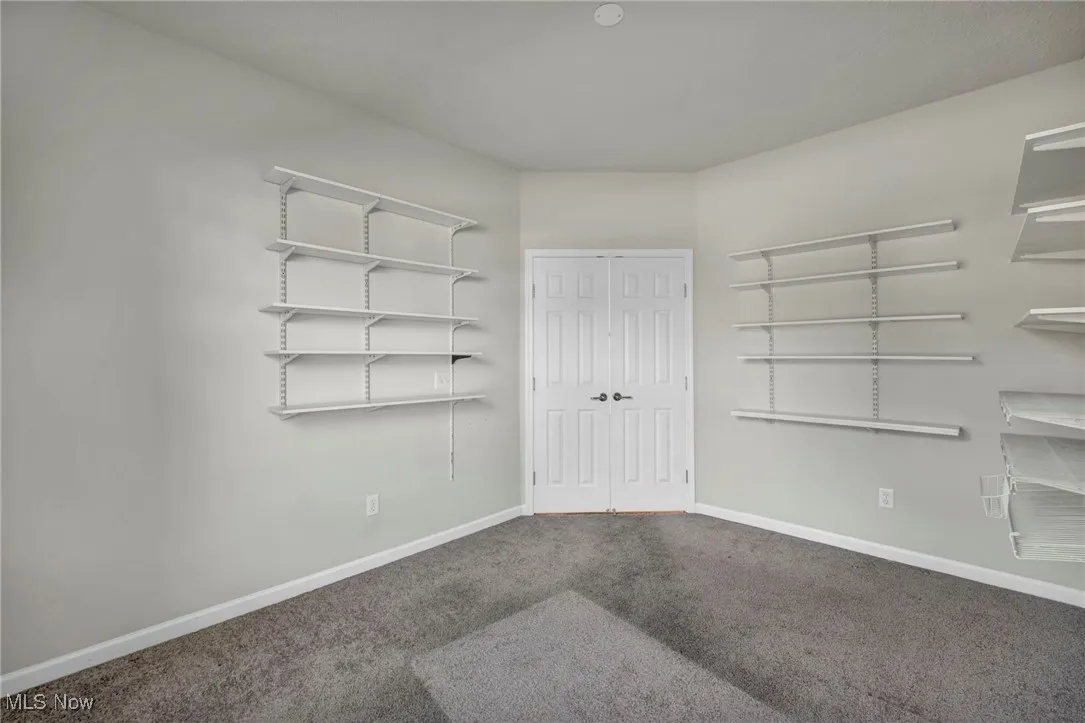 Spacious closet with carpet floors