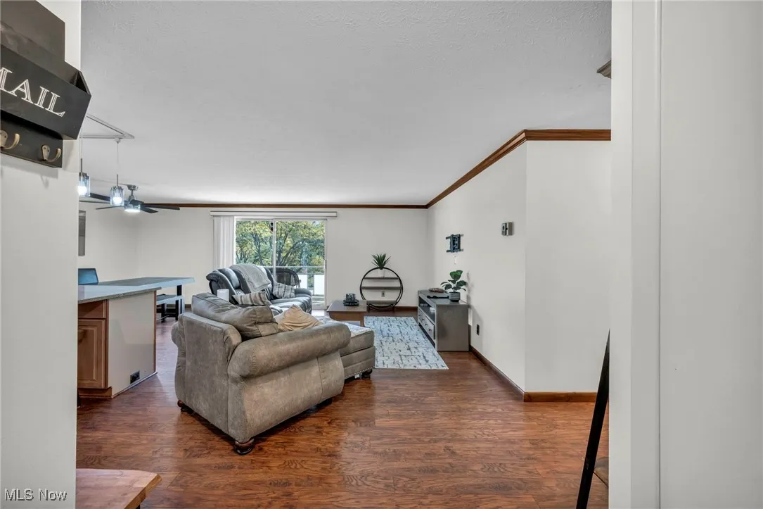 Living area with dark wood-type flooring, a ceiling fan, crown molding, and a textured ceiling