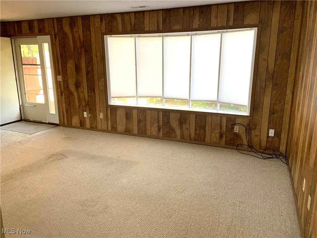 Carpeted spare room with wood walls and healthy amount of natural light