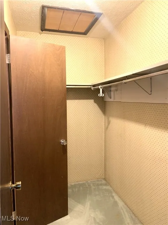 View of walk in closet