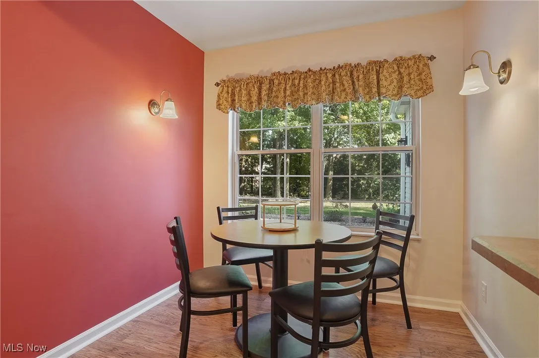 10502 White Ash Trail, Twinsburg, Ohio 44087,MLS Now Listing ID