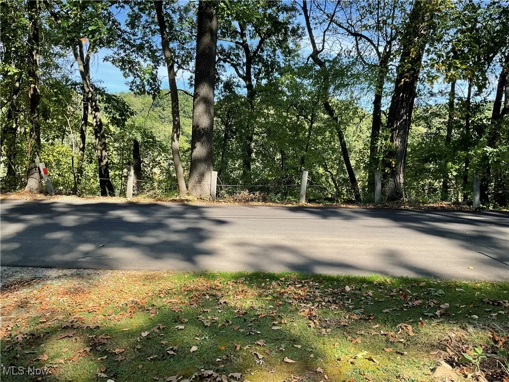 1312 Riverside Drive, Akron, Ohio 44310,MLS Now Listing ID