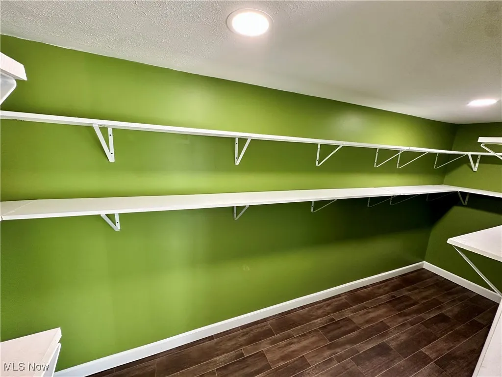 Spacious closet with dark wood-style floors