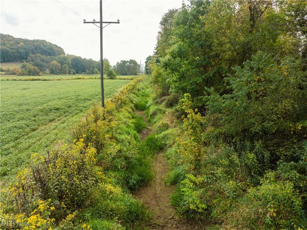 View of local wilderness with rural landscape