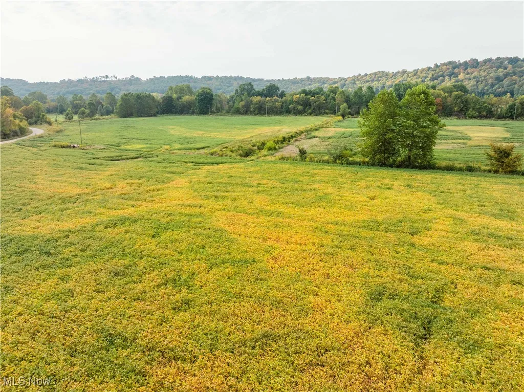 View of grassy yard with a rural view