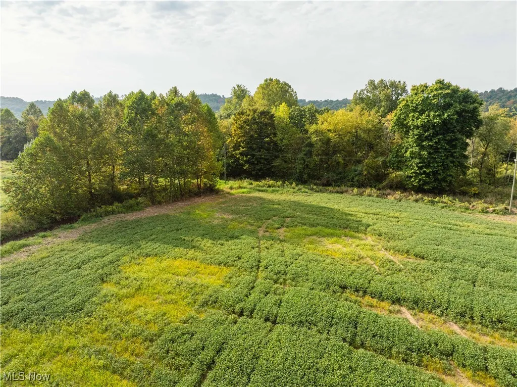 View of grassy yard featuring a view of countryside and a view of trees