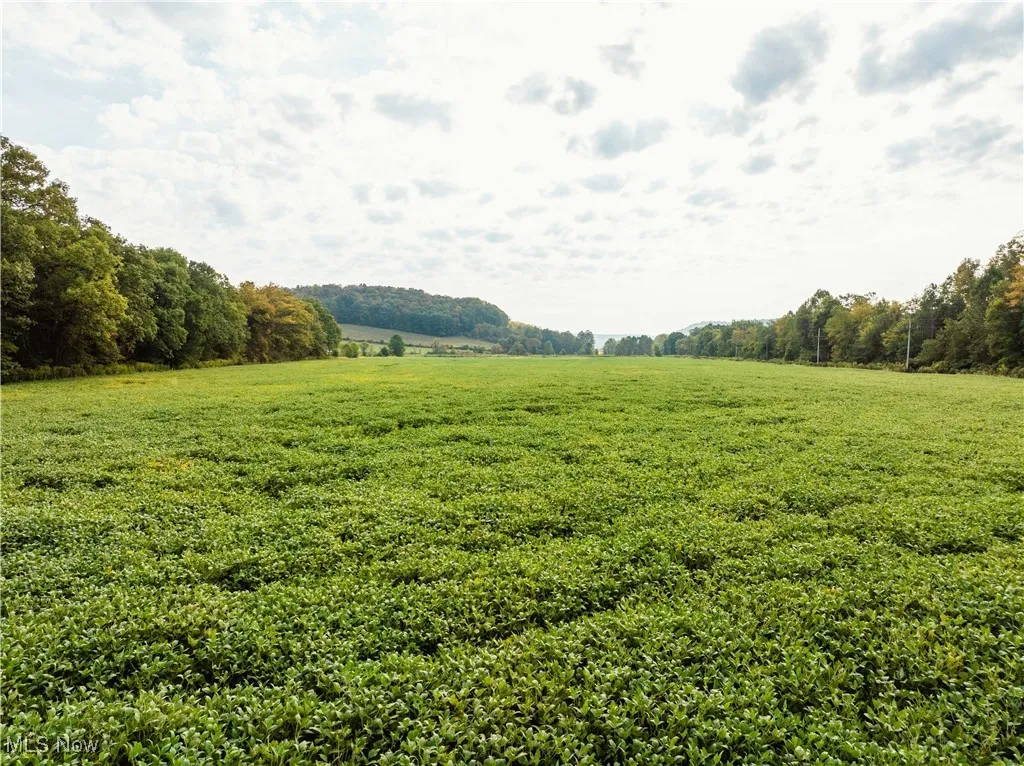 Township Road 54, Killbuck, Ohio 44637,MLS Now Listing ID