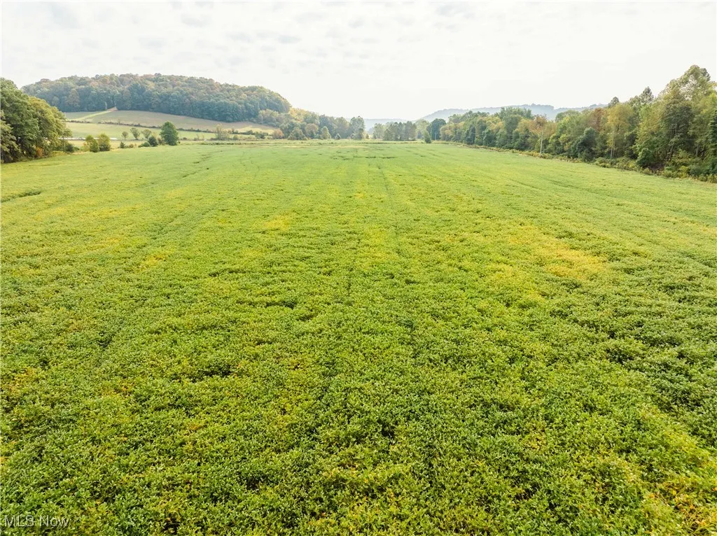 View of grassy yard featuring a view of countryside