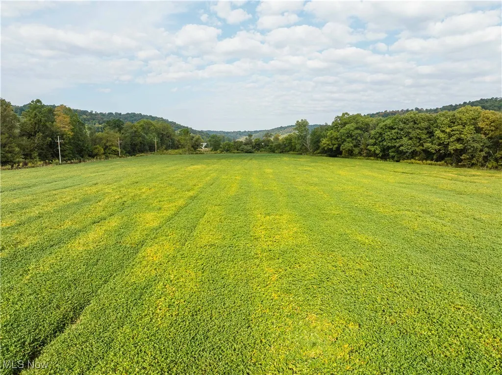 View of green lawn featuring a view of rural / pastoral area