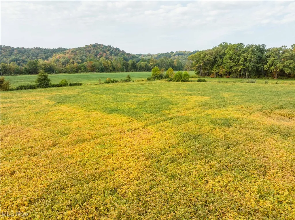 Township Road 54, Killbuck, Ohio 44637,MLS Now Listing ID