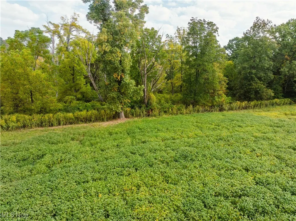 View of green lawn with a wooded view