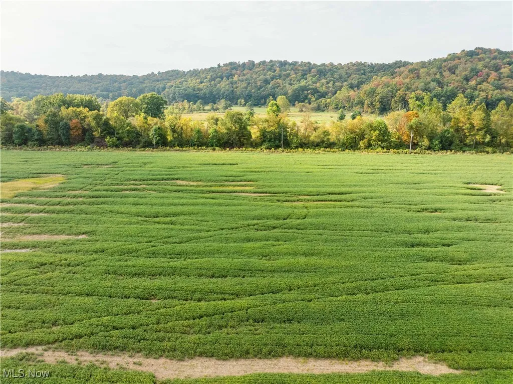 View of grassy yard featuring a rural view, a forest view, and agricultural area