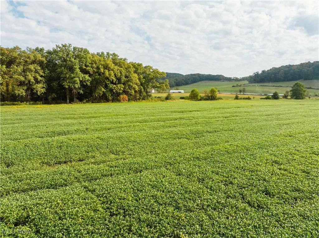 View of grassy yard with a view of countryside