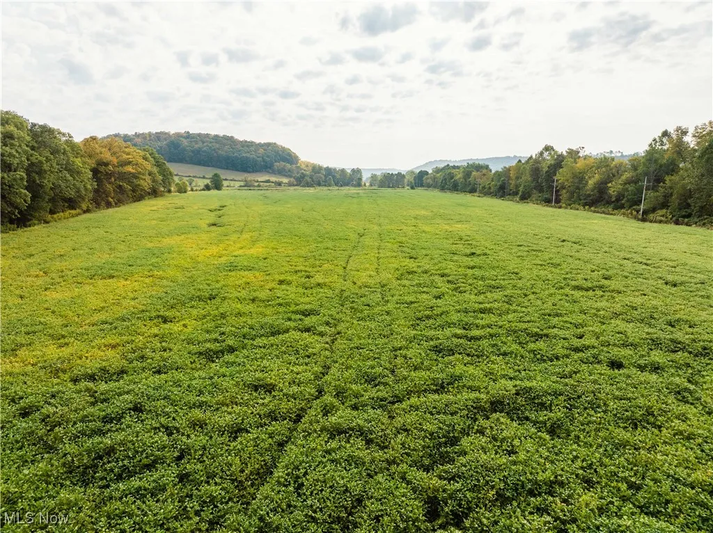 View of grassy yard with a rural view