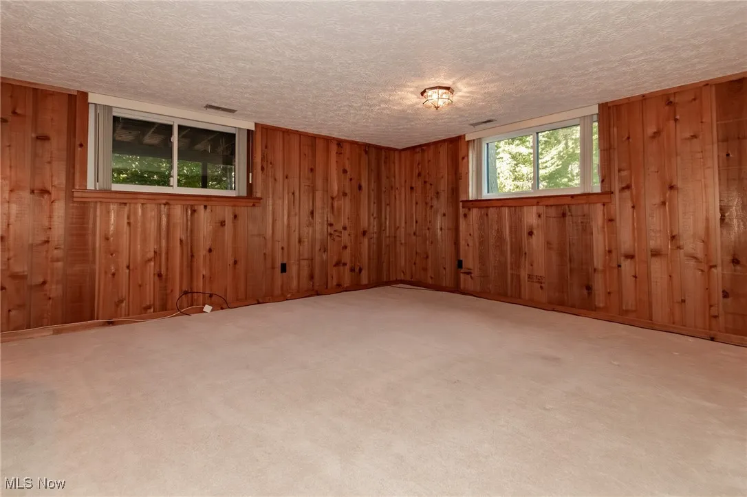 Empty room featuring wooden walls, light colored carpet, and a textured ceiling