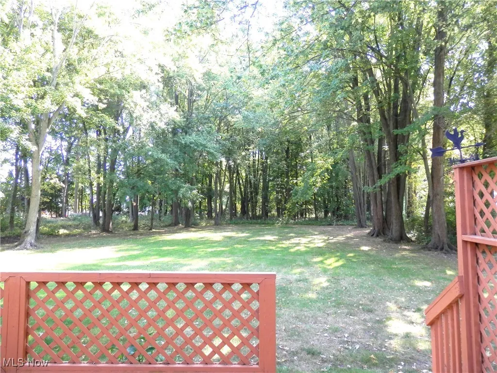 View from deck
