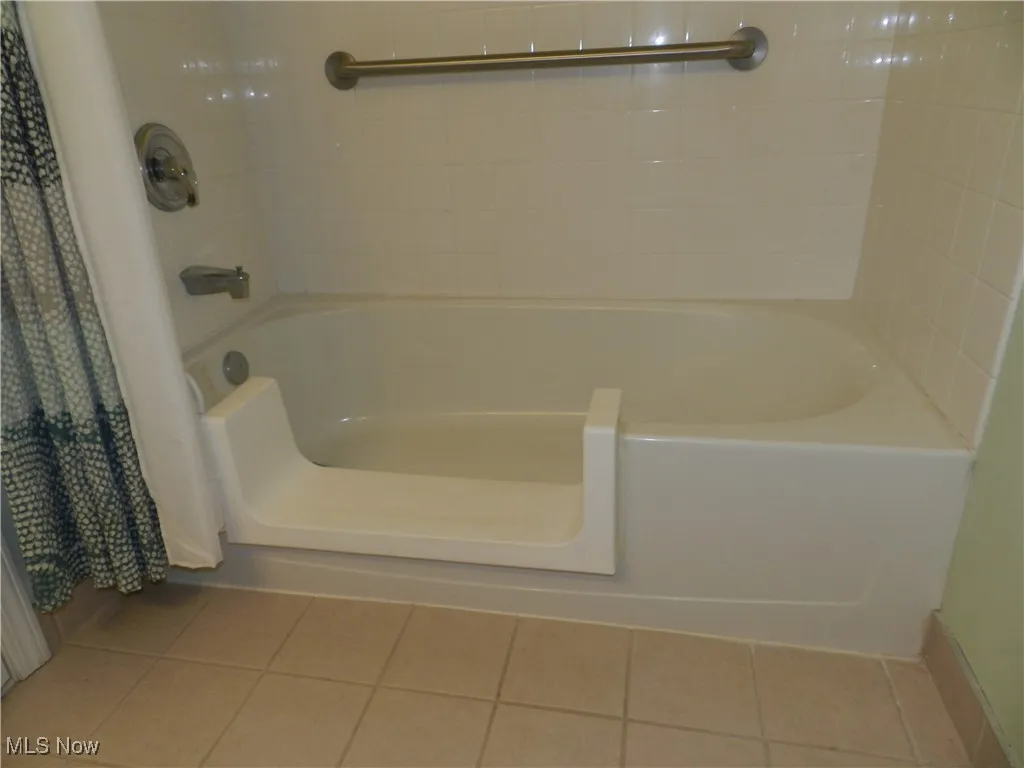 Full bathroom with low profile entry into the shower