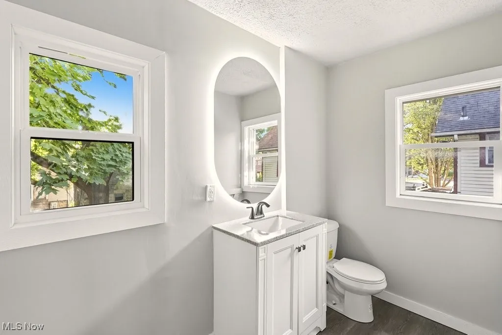 Half bathroom featuring vanity, dark wood-style flooring, and a textured ceiling