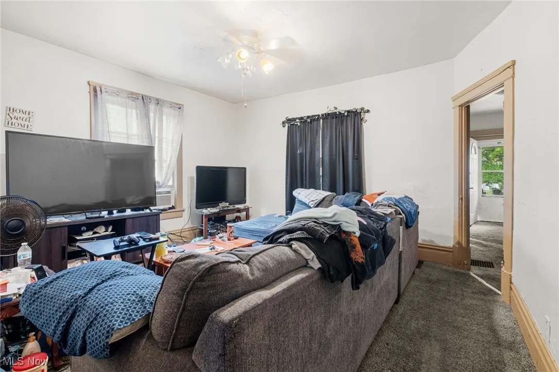 Carpeted living room featuring healthy amount of natural light and a ceiling fan