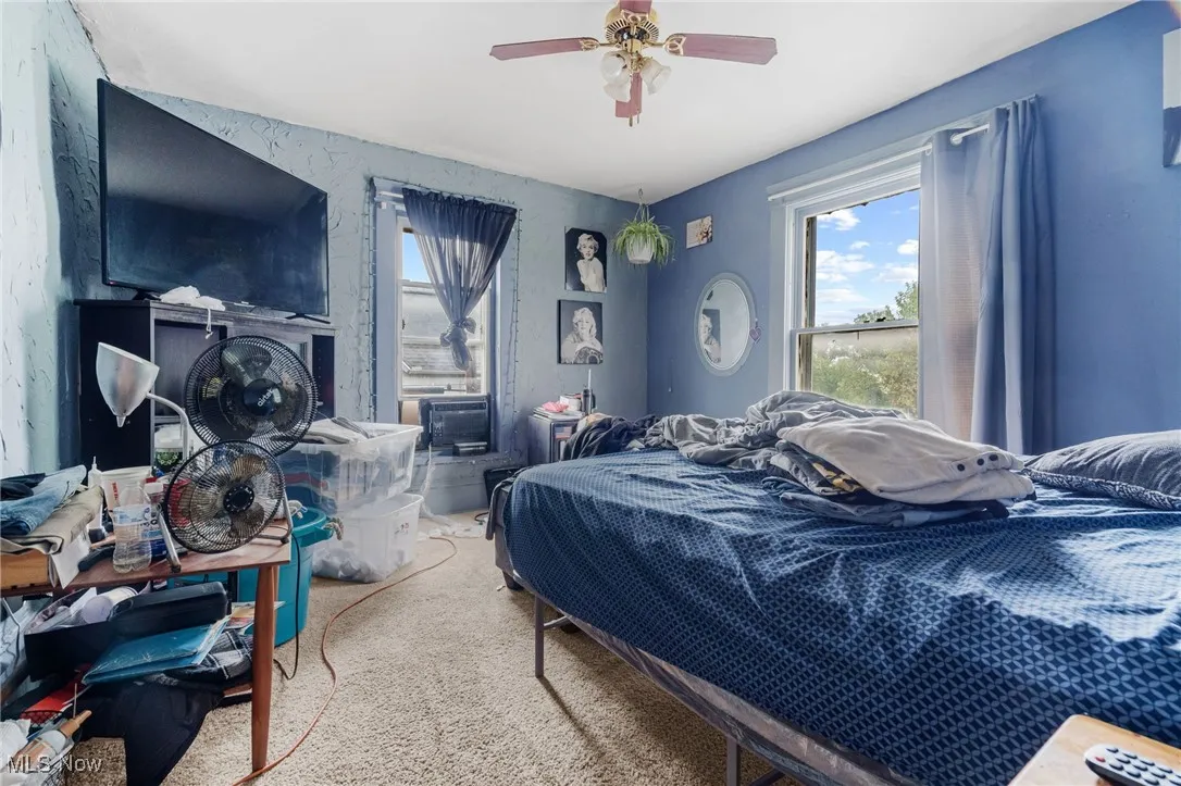 Carpeted bedroom with a ceiling fan