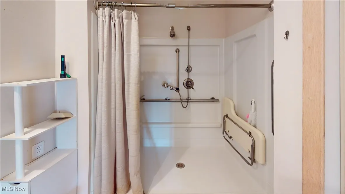 Hall bathroom shower showcasing some disability features.