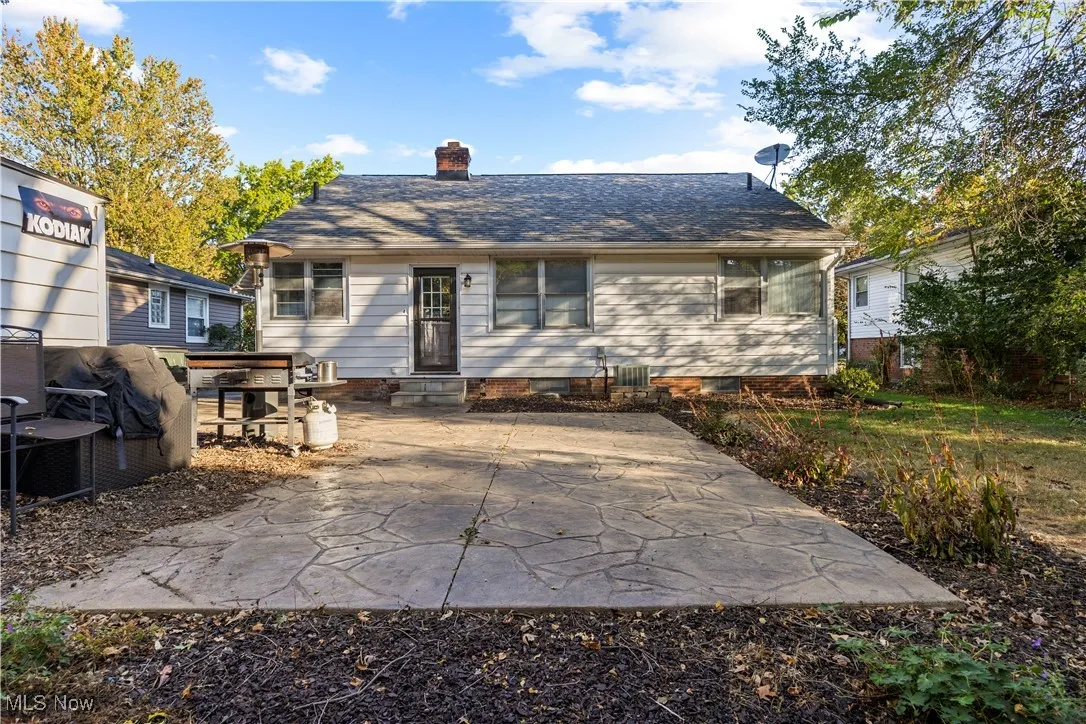 Back of house with a patio area, a chimney, entry steps, and a shingled roof