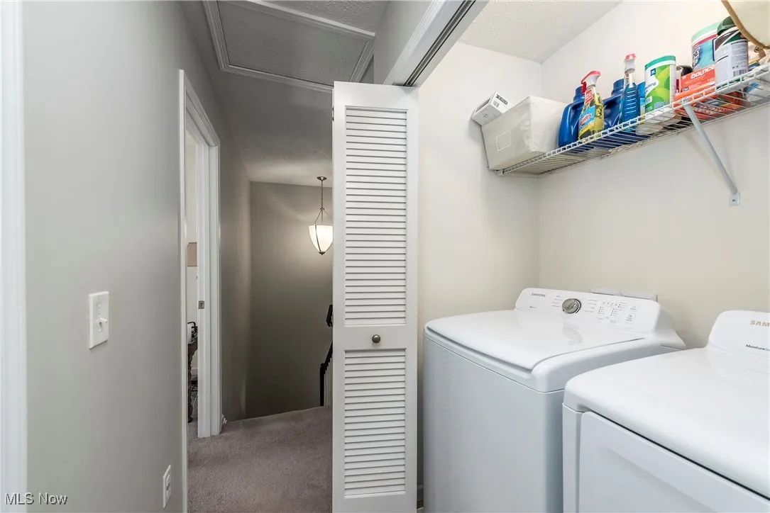 Laundry area with carpet and independent washer and dryer