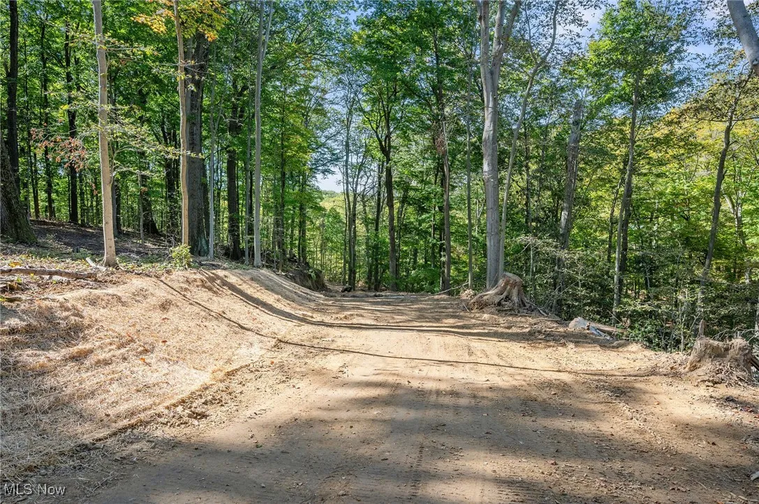 10899 Tibbetts Road, Kirtland, Ohio 44094,MLS Now Listing ID