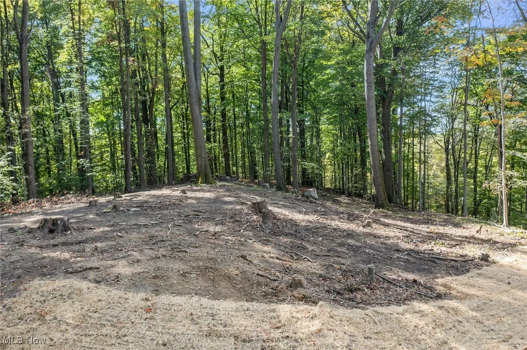 10899 Tibbetts Road, Kirtland, Ohio 44094,MLS Now Listing ID