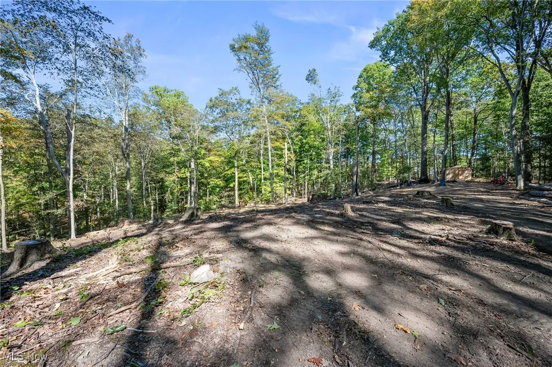 10899 Tibbetts Road, Kirtland, Ohio 44094,MLS Now Listing ID
