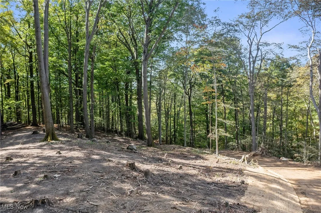 10899 Tibbetts Road, Kirtland, Ohio 44094,MLS Now Listing ID