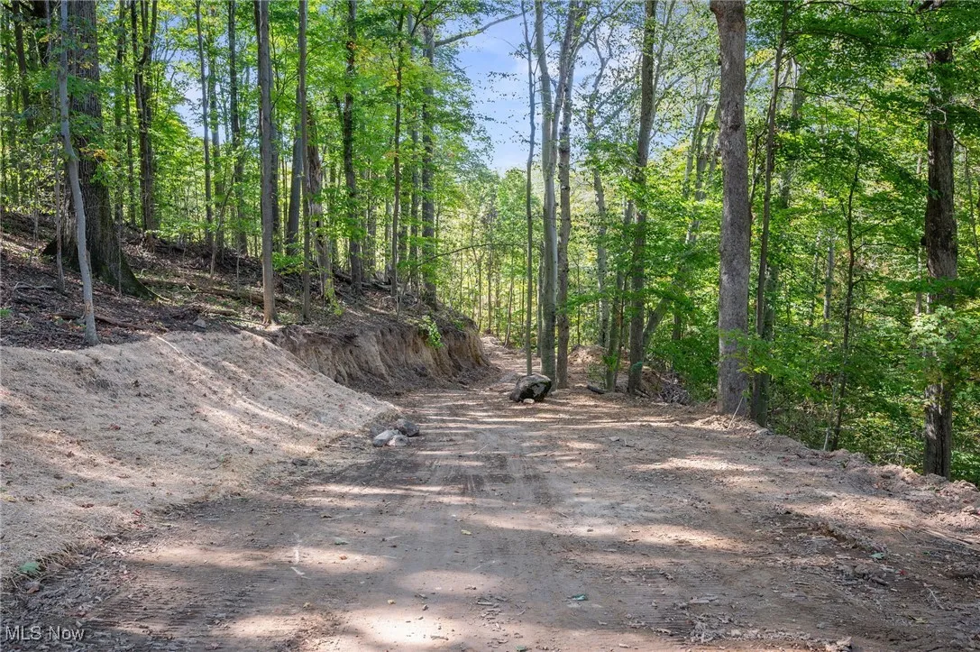 10899 Tibbetts Road, Kirtland, Ohio 44094,MLS Now Listing ID