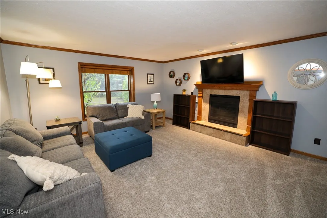 Living area with crown molding, a fireplace, and carpet
