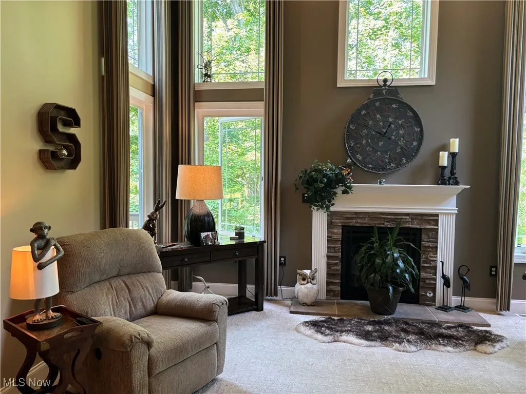 Sitting room featuring carpet floors, healthy amount of natural light, and a fireplace