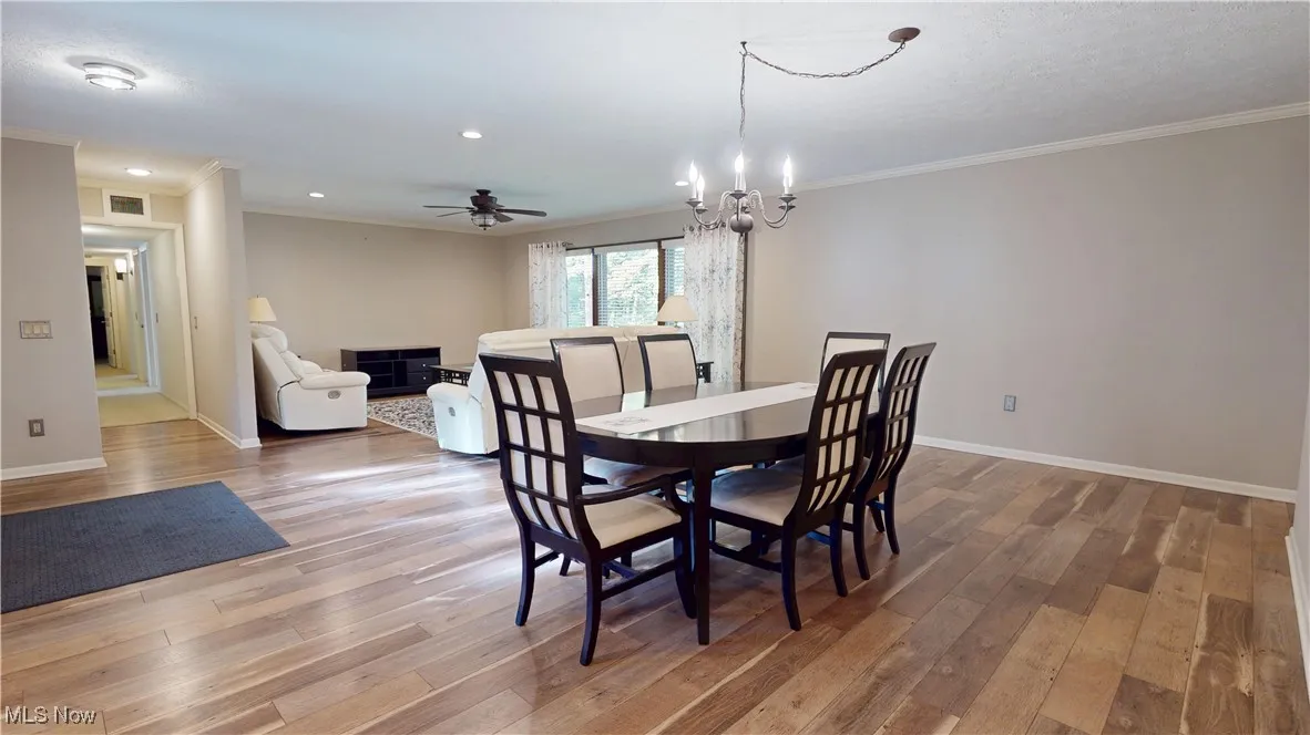 Dining and living room