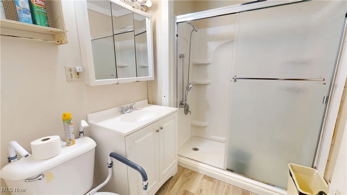 Full bath featuring a shower stall, light wood-type flooring, and vanity