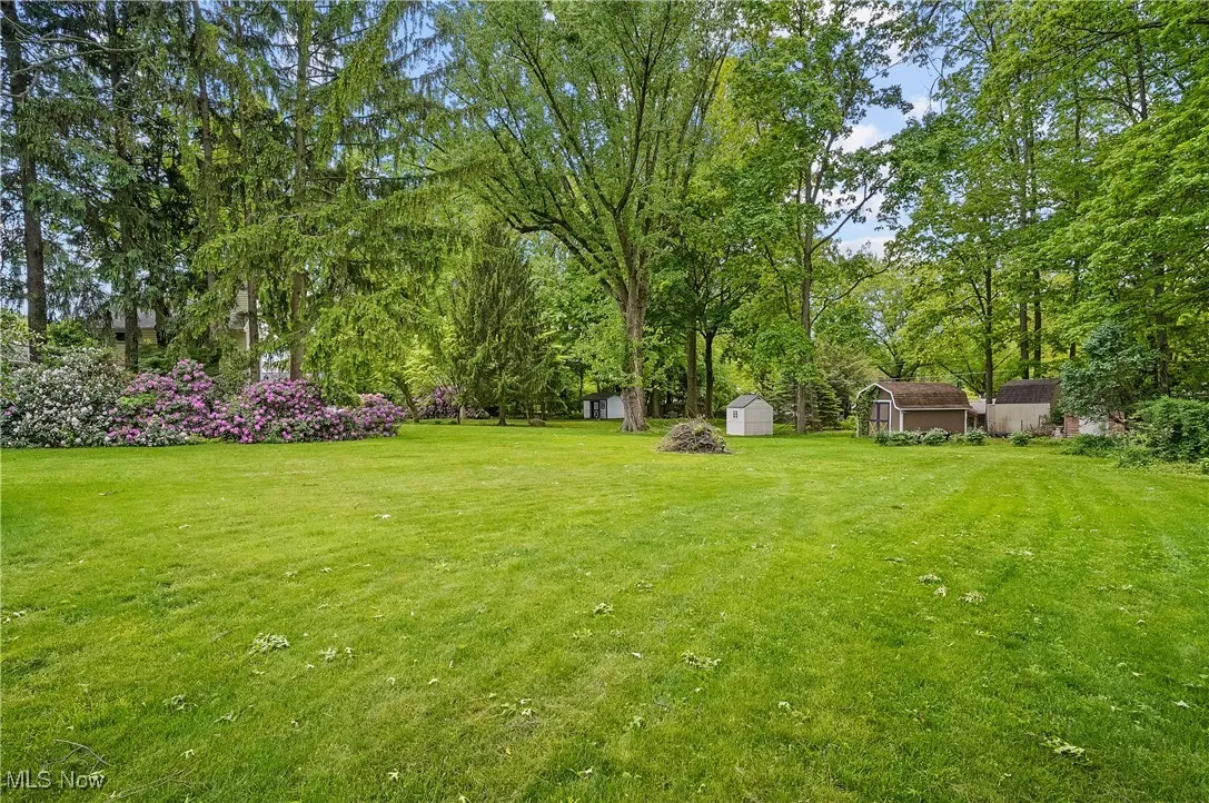 Park-like backyard