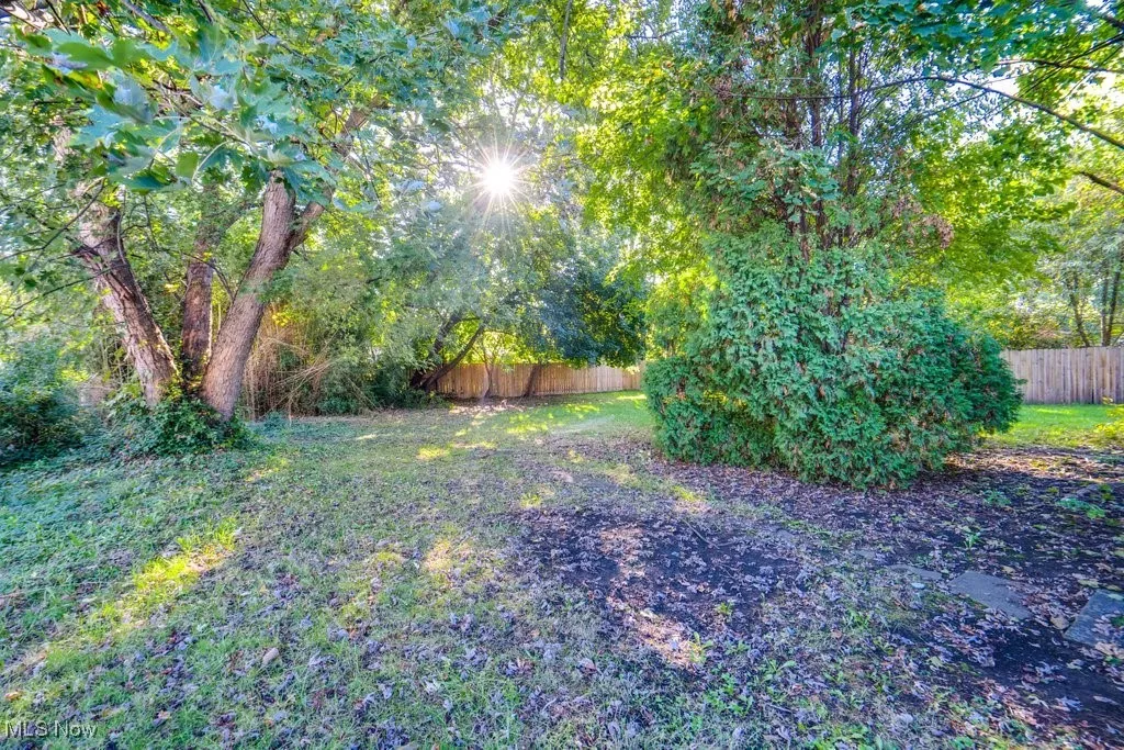 713 Virginia Avenue, Akron, Ohio 44306,MLS Now Listing ID