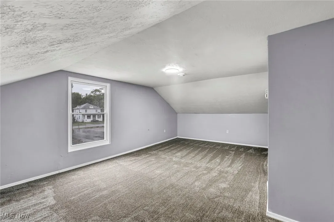 Bonus room featuring carpet, vaulted ceiling, and a textured ceiling