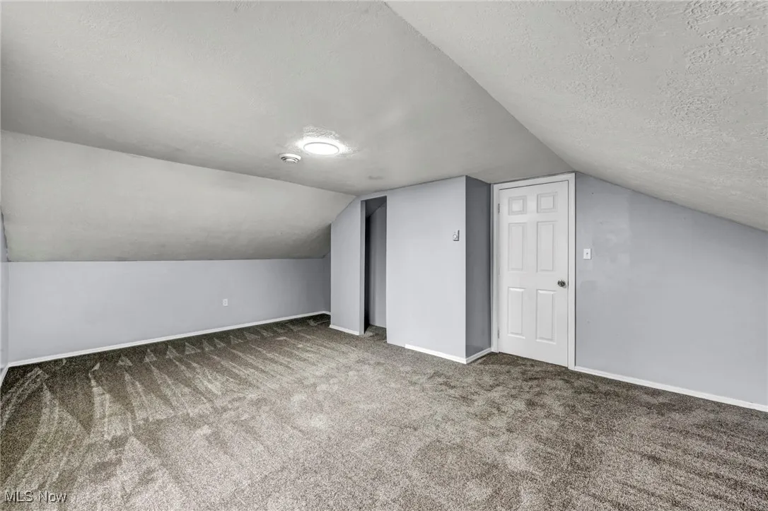 Bonus room featuring carpet, lofted ceiling, and a textured ceiling