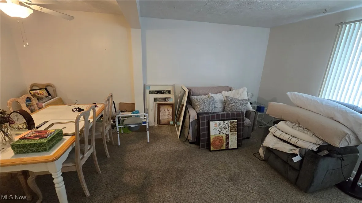 Living area with carpet floors, a textured ceiling, and ceiling​​‌​​​​‌​​‌‌​‌‌​​​‌‌​‌​‌​‌​​​‌​​ fan