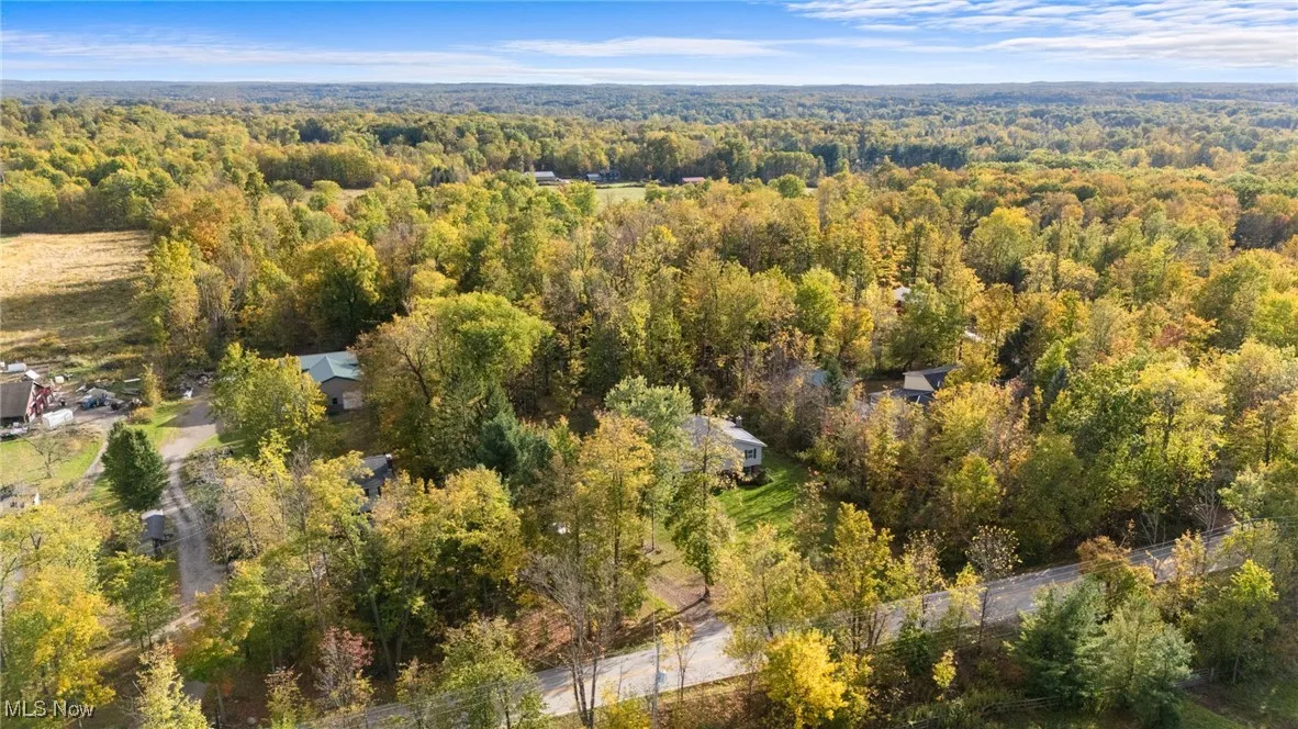 Aerial view of property's location featuring a forest