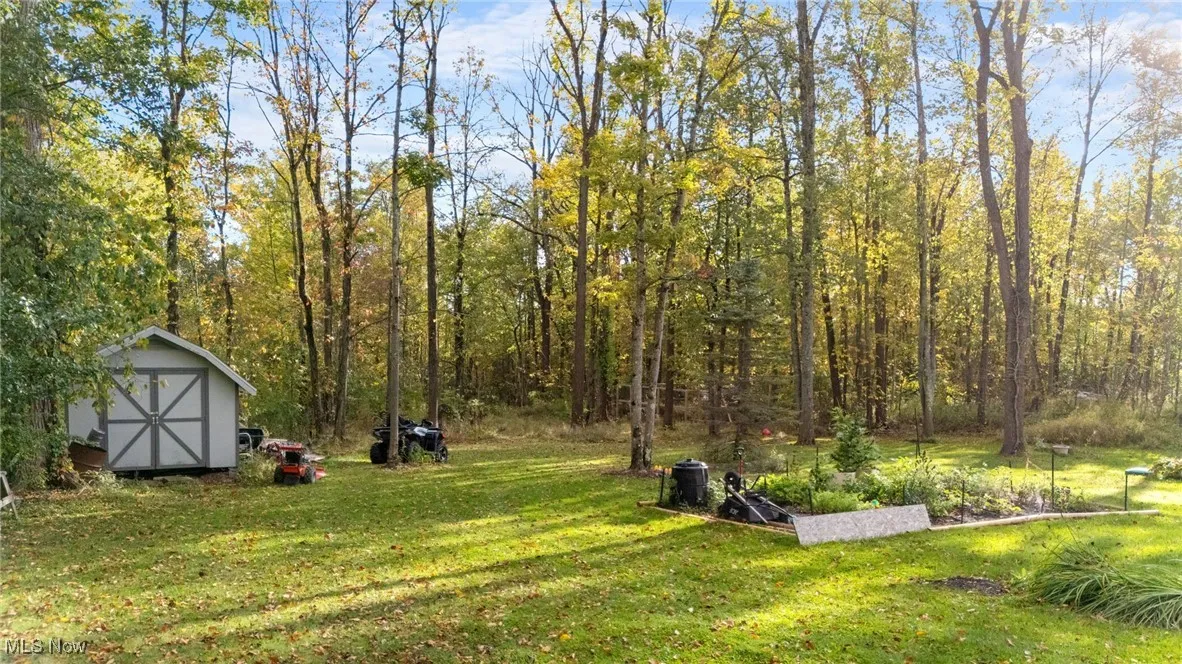 View of grassy yard featuring a shed and a view of trees