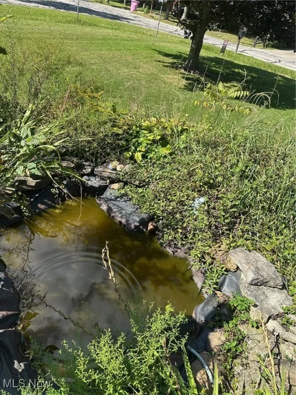 Koi fish pond front of house