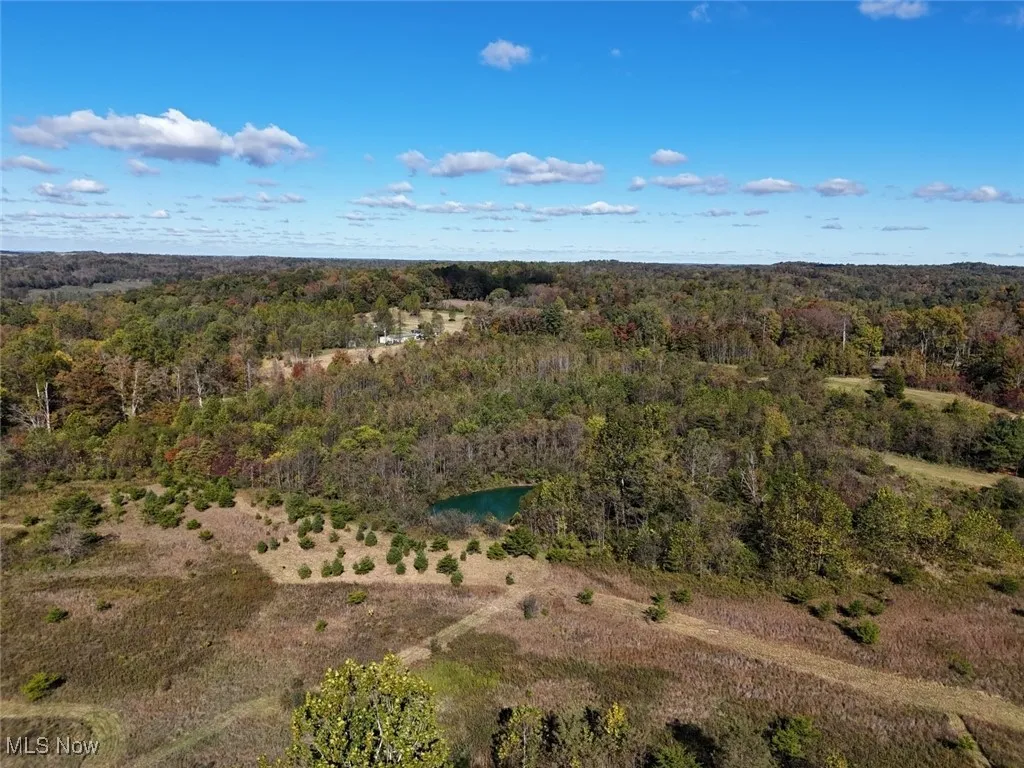 Aerial view of a forest and a nearby body of water